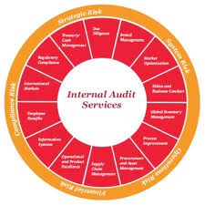 Internal Auditing Manufacturer Supplier Wholesale Exporter Importer Buyer Trader Retailer in new delhi delhi India